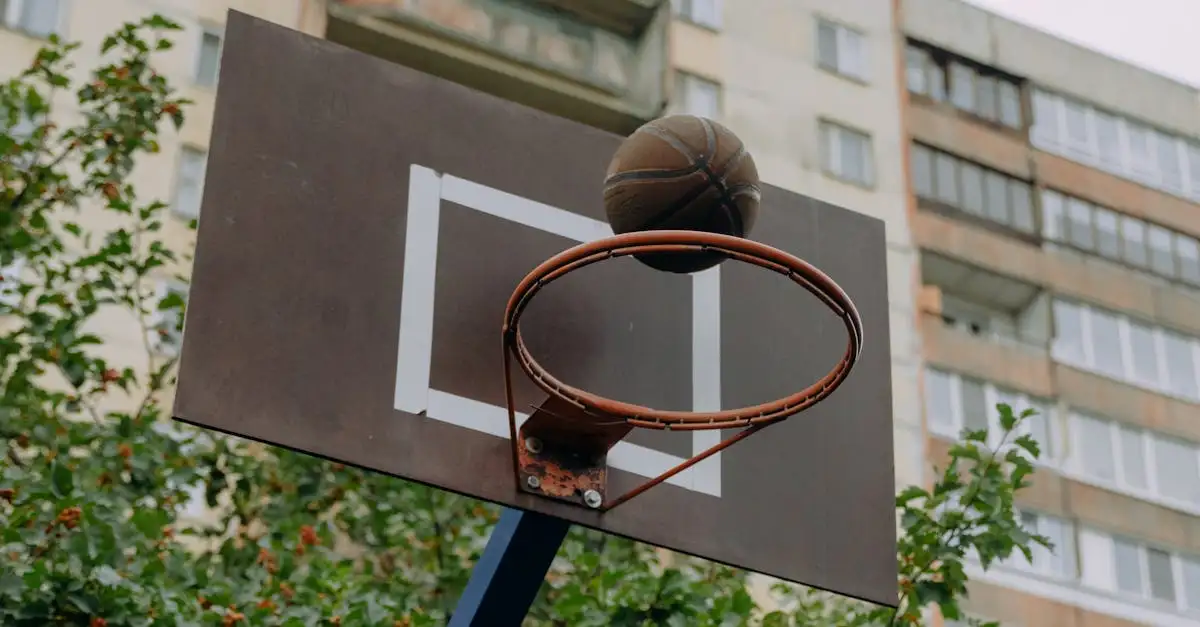 Basketbalvelden in de buurt