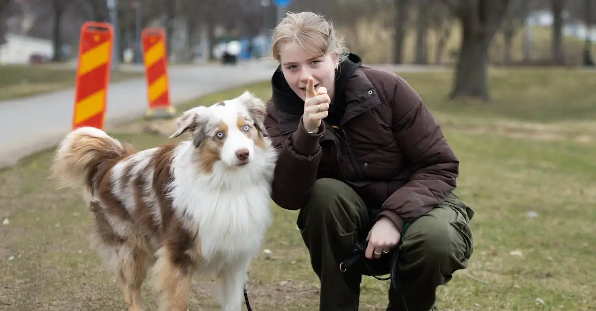 Hondencursus in de buurt