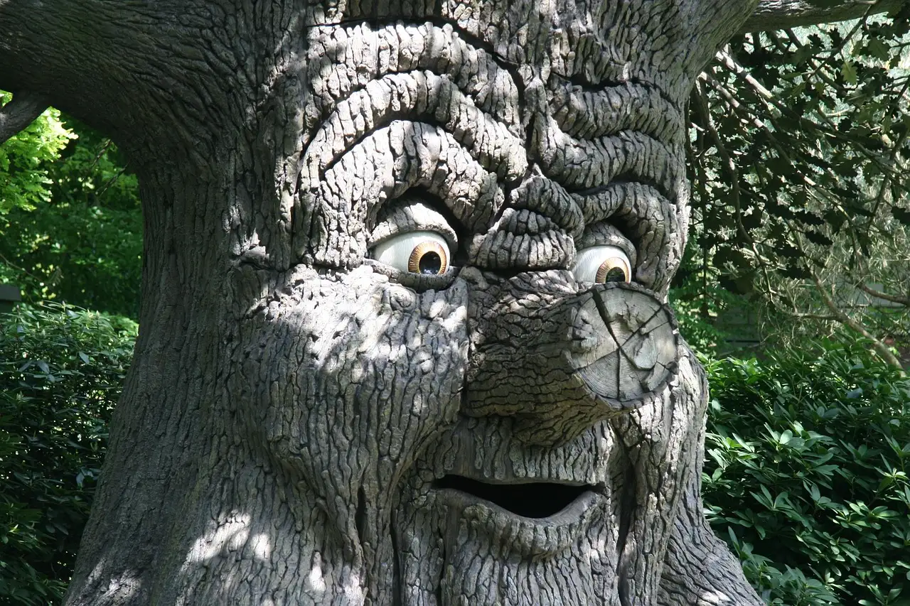 Camping in de buurt van efteling