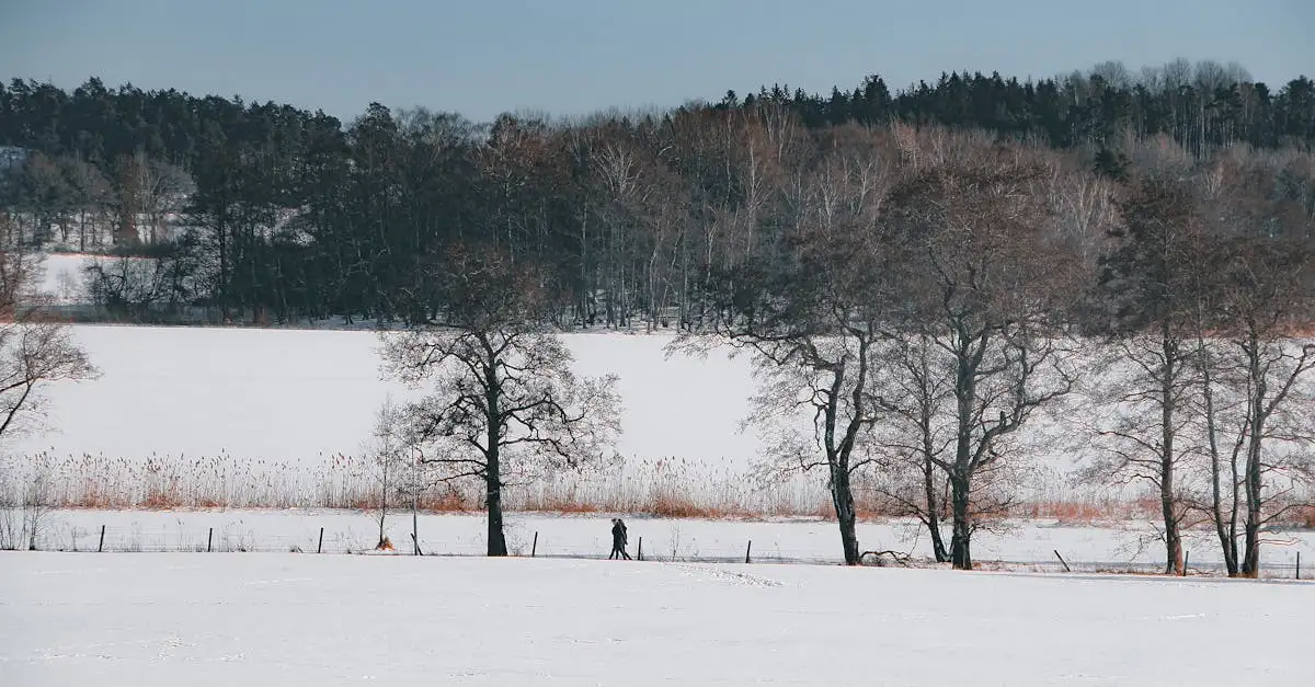 Ontdek mooie wandelroutes in de buurt voor een frisse wandeling.