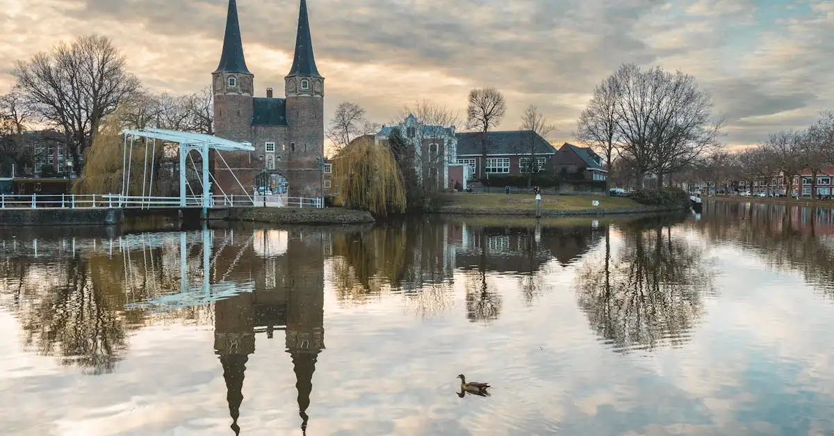 Delft in de buurt