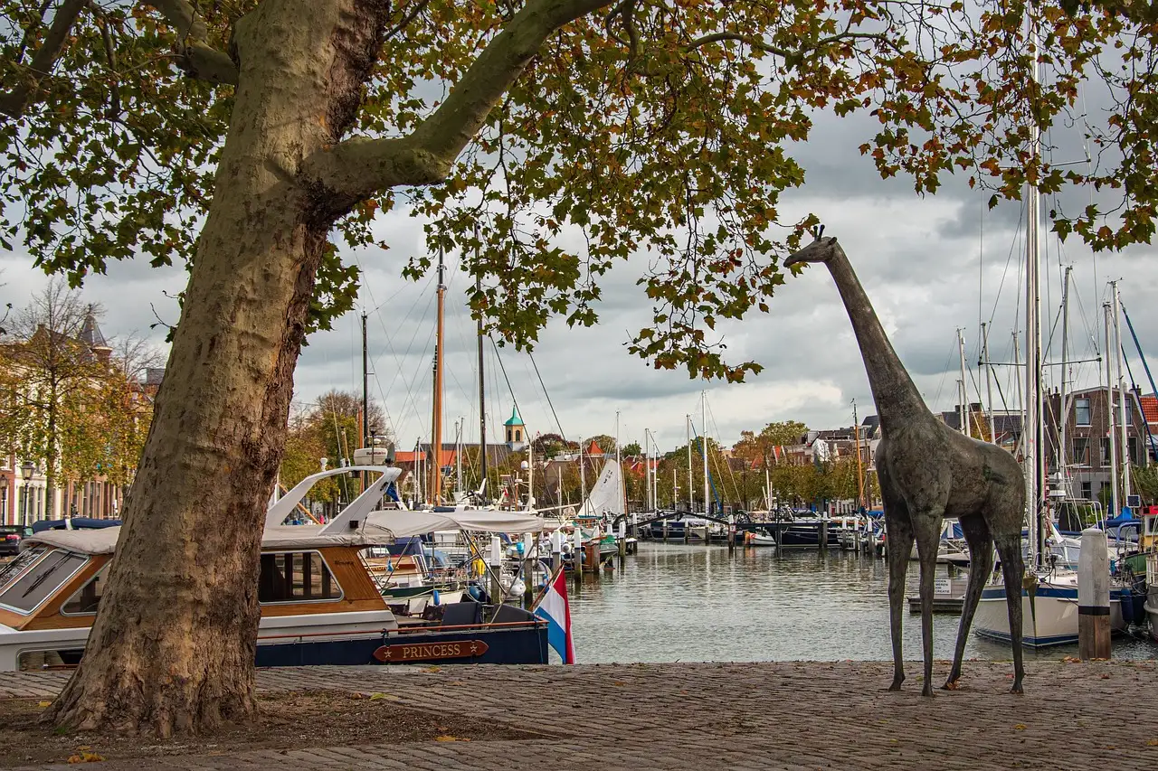 In de buurt dordrecht
