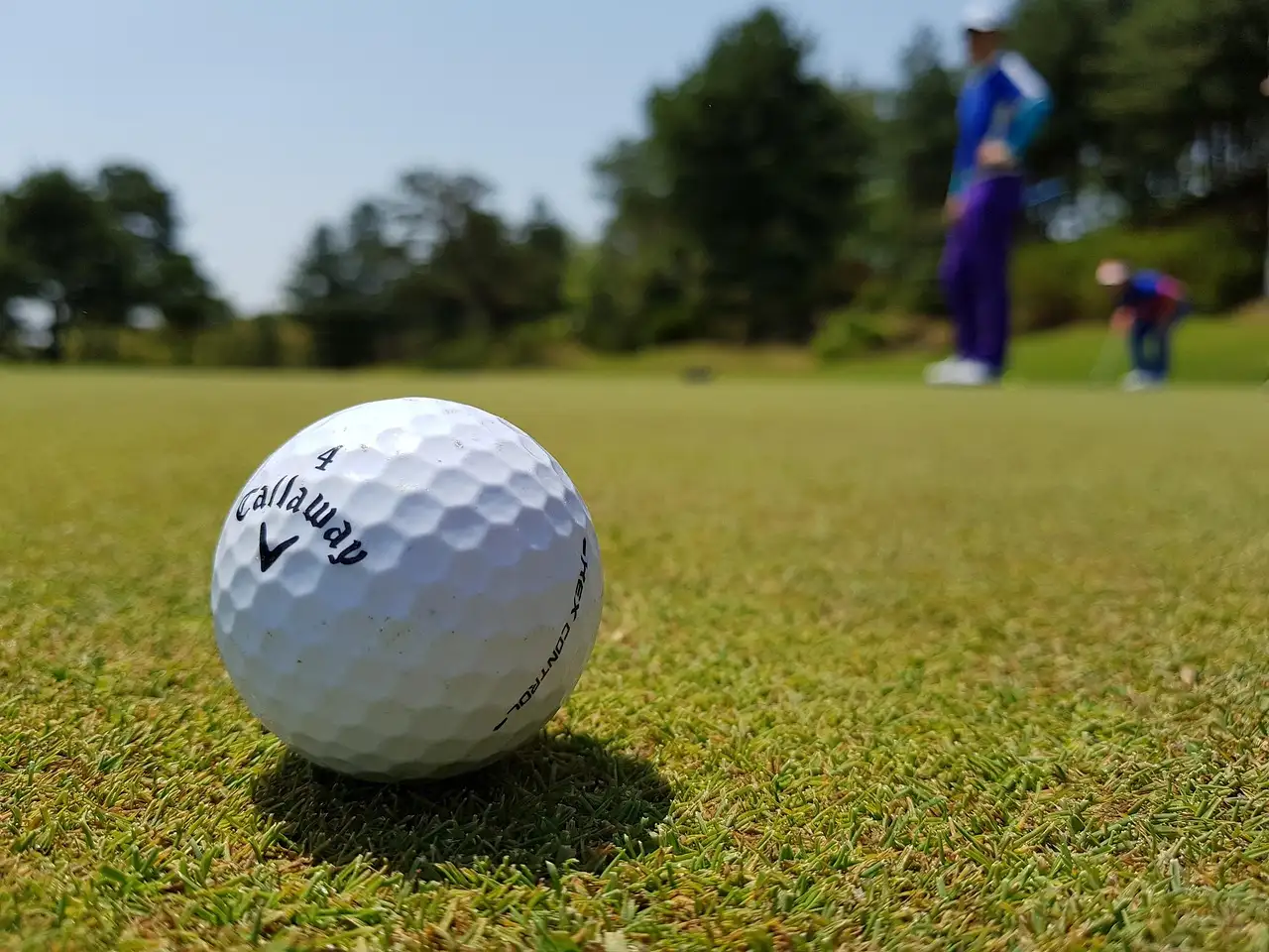 Pitch en putt in de buurt