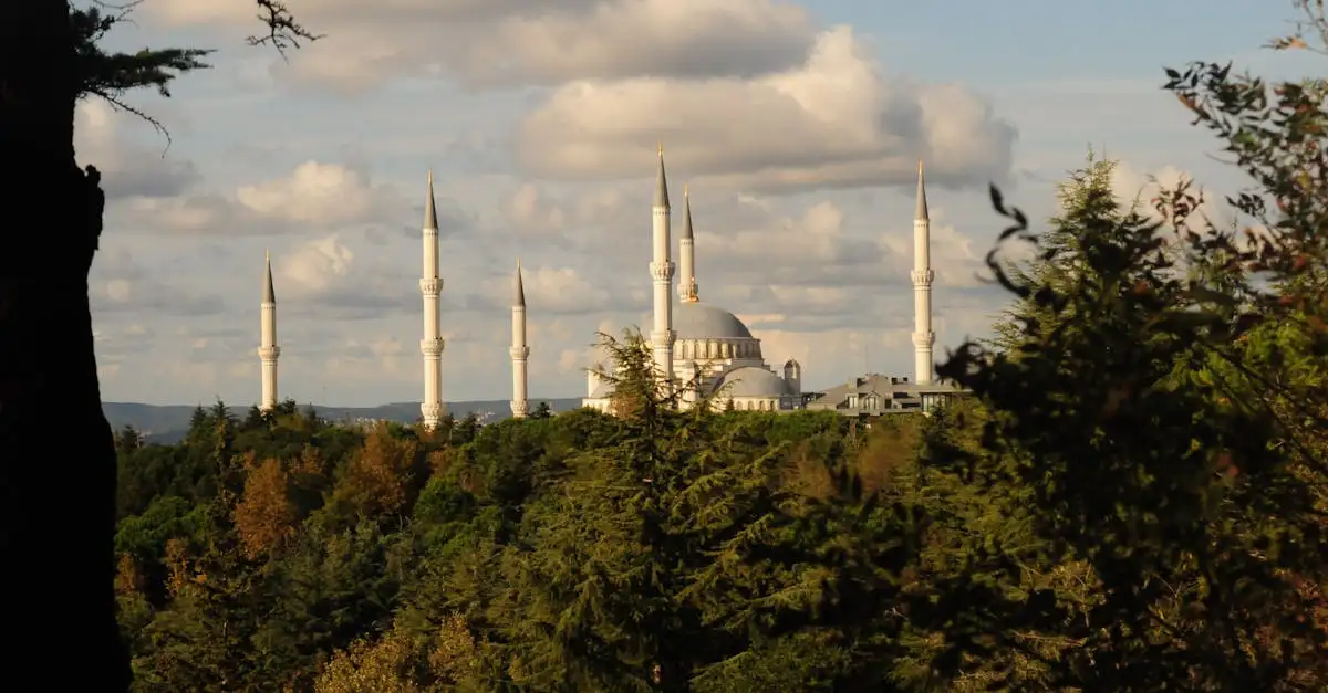 Turkse moskee in de buurt