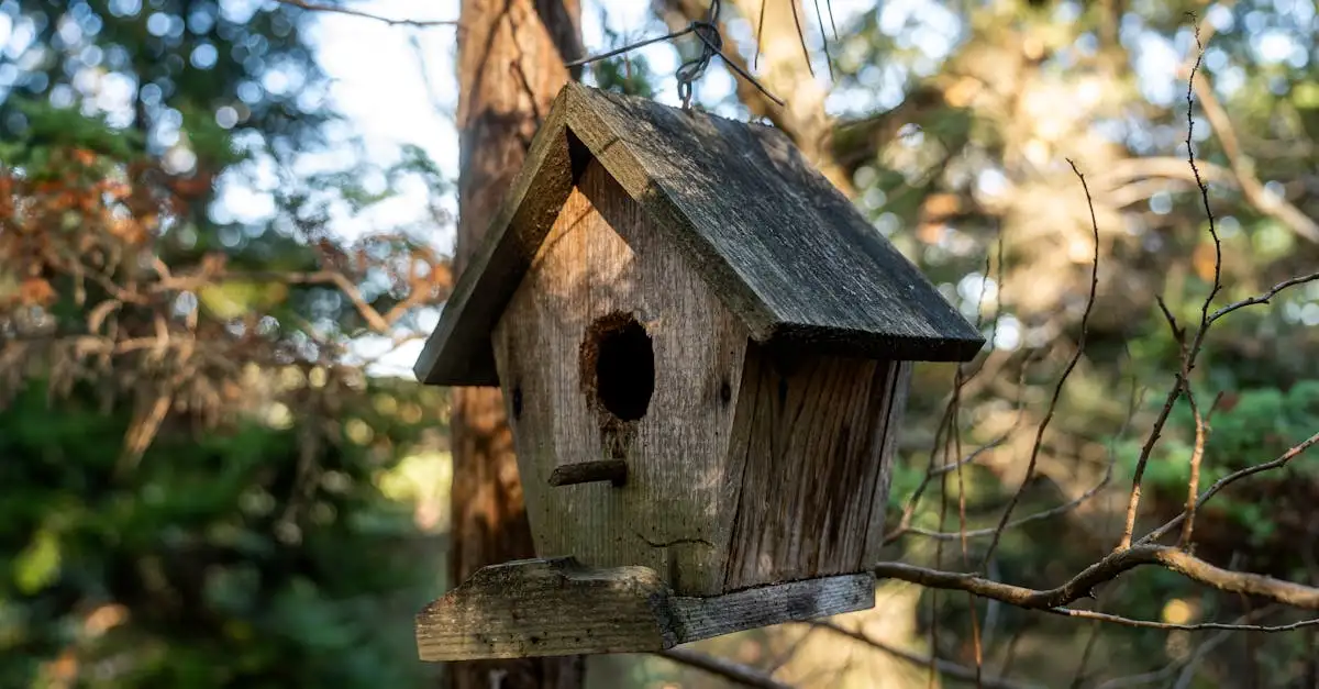 Vogelopvang in de buurt